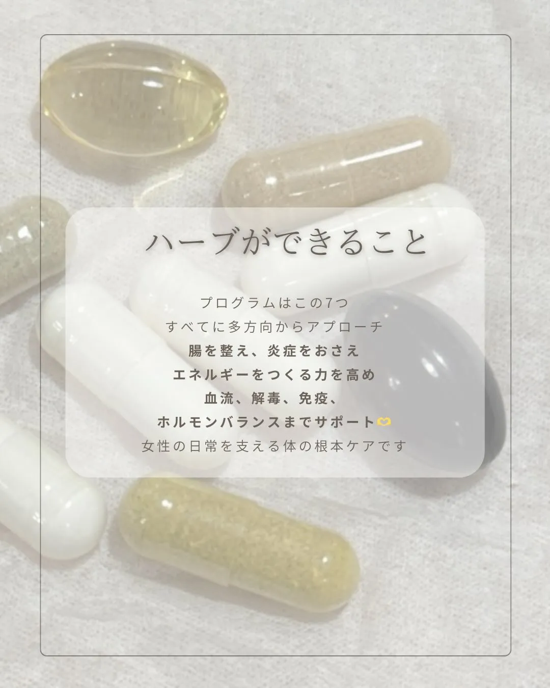 \ 結-musubi-のハーブ習慣🌿 /