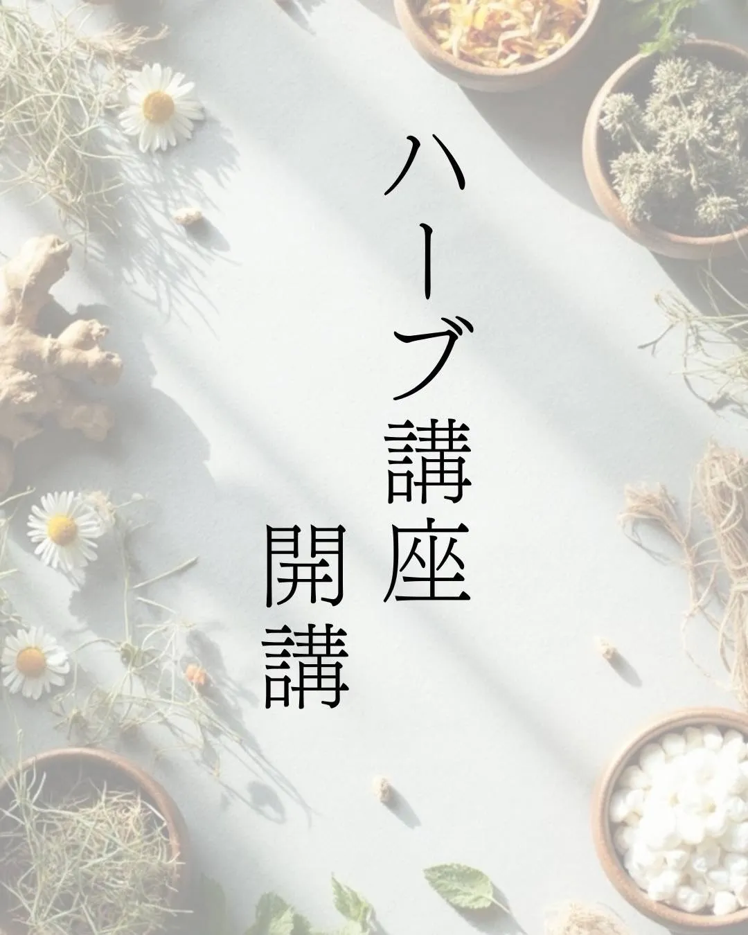 メディカルハーブ講座 開講のお知らせ🌿